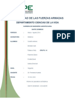 Informe de Botanica Semilla