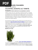 Origen Del Culantro, Ají, Tomate