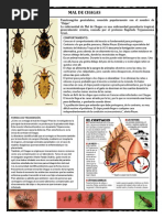 Mal de Chagas