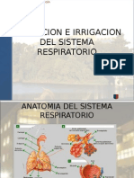 Irrigacion e Inervacion Sist. Resp.