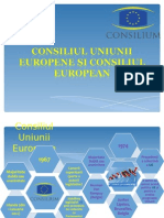 Consiliul Uniunii Europene Și Consiliul European