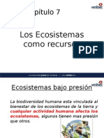 Ecosistemas Bajo Presion