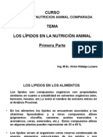 Los Lipidos en La Nutricion