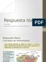 Respuesta Tóxica