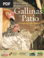 Gallinas de Patio