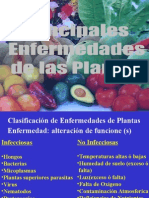 Clasificación de Enfermedades