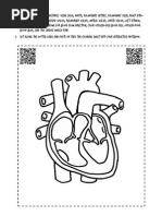 Human Heart Coloring Sheet With QR Codes