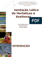 Biotecnologia - Fermentação - RESUMO