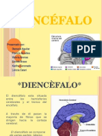 Diencefalo Exposicion 3