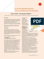 Fisiología Bucal Infantil: Función y Crecimiento de La Cavidad Oral Del Lactante