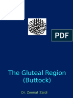 Gluteal Region 