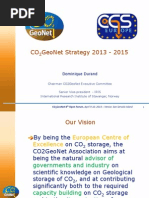 Co Geonet Strategy 2013 - 2015: Dominique Durand