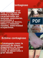 Clase 9 - Ectima Contagioso, Fiebre Aftosa, Papilomatosis Bovina