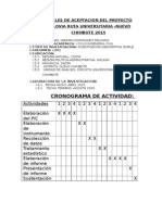 Cronograma de Actividad:: Niveles de Aceptacion Del Proyecto Ciclovia Ruta Universitaria - Nuevo Chimbote 2015