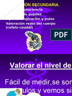 Valoración Secundaria