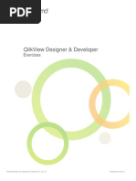 Designer Developer - Exercises QlikView