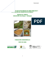 Sostenimiento de 90 Hectareas de Cana Panelera y Adecuacion Del Beneficio de Panela