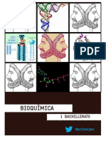 Apuntes Bioquímica