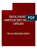 Curs 6 Tesutul Conjunctiv