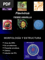 Flav I Virus