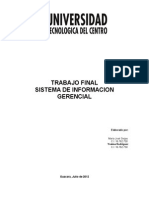 Proyecto Final (Sistema de Informacion Gerencial) (2) 1