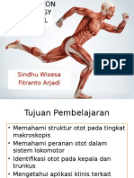 Introduction of Musculoskeletal and Axial Muscle