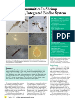 Plankton Communities in Shrimp 