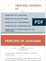 Principios Del Debido Proceso