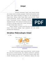 Struktur Dan Fungsi Ginjal