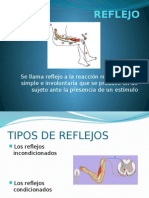 Exposicion Anatomia Reflejos