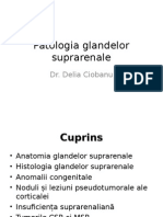 Patologia Glandelor Suprarenale