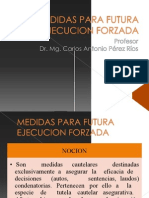 (551682541) 248853855-Medidas-Para-Futura-Ejecucion-Forzada