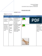 Ficha de Ejecución Maandalaaa