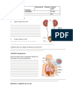 Sistemas Do Corpo Humano 8º Anos - Cópia