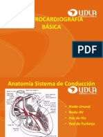 EKG Basica e Interpretacion ECG