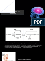 Control de La Postura y El Movimiento