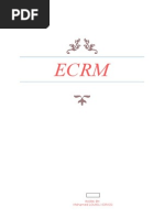 ECRM Electronic Customer Relationship Management