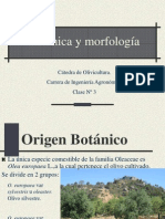 Clase Botanica y Morfología PDF