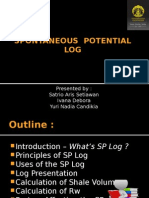 Spontaneous Potential Log