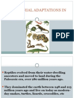 TERRESTRIAL ADAPTATIONS IN Reptiles