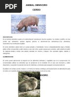 Animal Omnivoro Herbivoro y Carnivoro