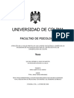 Atención de La Salud Mental en Una Unidad Oncológica: Diseño de Un Programa de Psicooncología para El Centro Estatal de Cancerologia de Colima