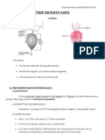 Cours Trichomonoses 5 3e 12