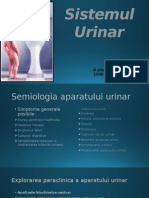 Sistemul Urinar