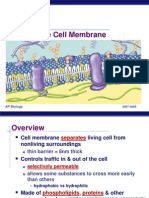  Cell Membrane