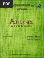 Trabajo Del Ántrax.