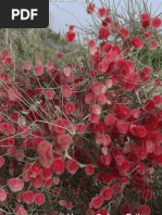 Aspects of The Autecology of Arta (Calligonum Comosum L. Her) A Medical Plant From Arid Region of Saudi Arabia