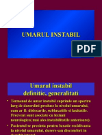 Umarul Instabil