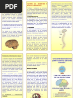 Triptico Centro Nervioso de La Escritura