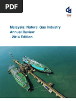 Malaysia Gas Report